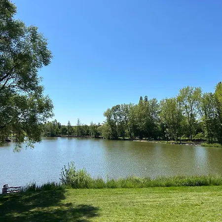 Le Saule Domaine Du Cygne * Barst-Marienthal